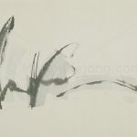 The beauty of SUMI 2 85x120